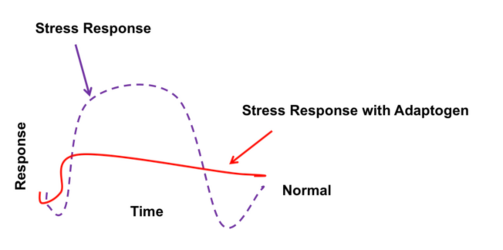 Ask The Farmacist™️ Q&A: Adaptogens 101 - What are they, how they support stress, and more.
